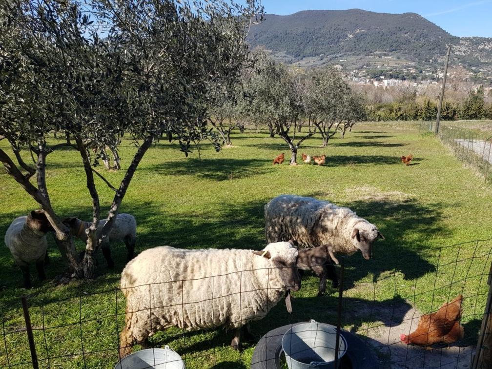 Studio En Campagne Dans Une Ferme Bio Apartamento Nyons Exterior foto